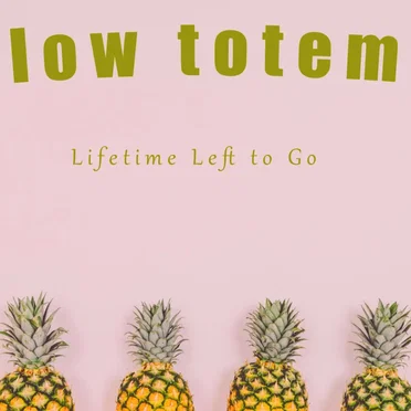 Lifetime Left to Go