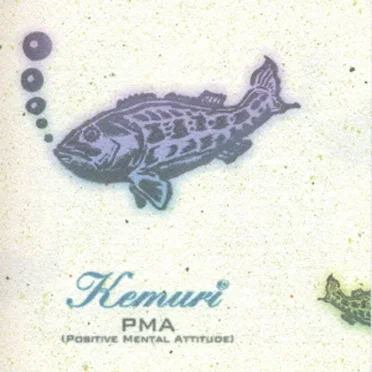 ケムリ/PMA(ポジティヴ・メンタル・アティテュード) by Kemuri - album cover