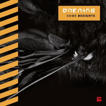 SOME BESIGHTS by onenine - album cover
