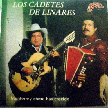 Monterrey cómo has crecido / 15