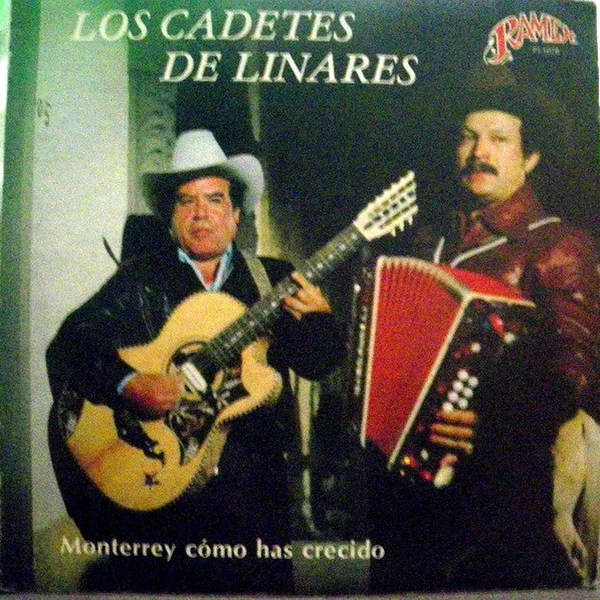 Monterrey cómo has crecido / 15