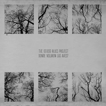 Donde Volaron Las Aves? by The Ocioso Blues Project - album cover