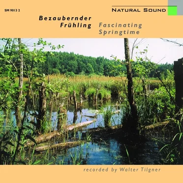 Bezaubernder Frühling by Walter Tilgner - album cover