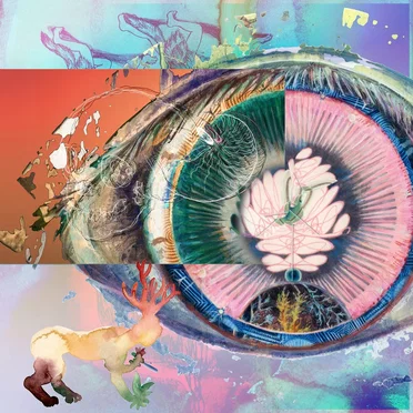 The Bell by Predawn - album cover