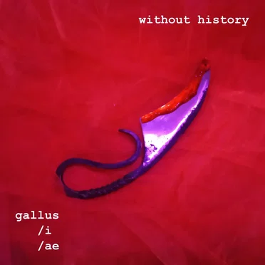 Gallus/i/ae by Without History - album cover