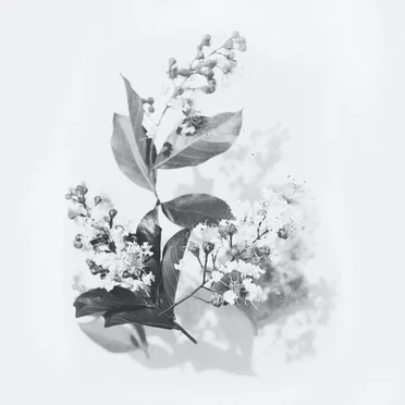 Rest in Peace (A Soundtrack for Irreversible Relaxation)