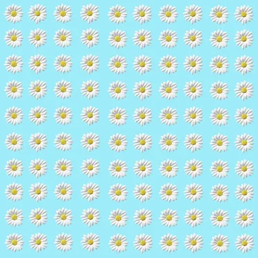 Seahorse Tranquilizer