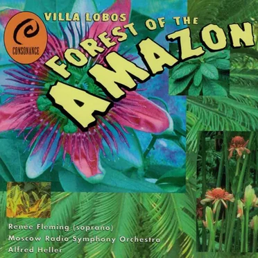 Forest of the Amazon