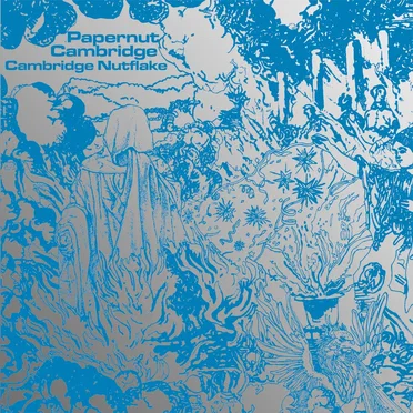 Cambridge Nutflake by Papernut Cambridge - album cover