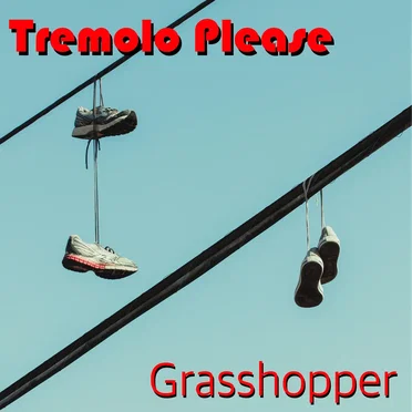 Grasshopper