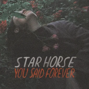 You Said Forever by Star Horse - album cover