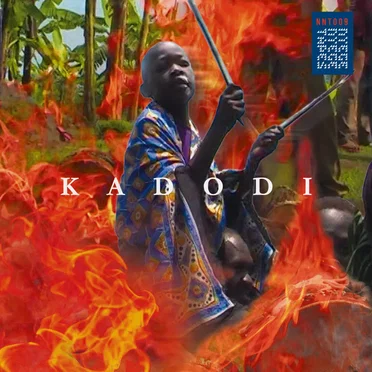 Kadodi by Various Artists - album cover