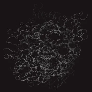 bones & drones