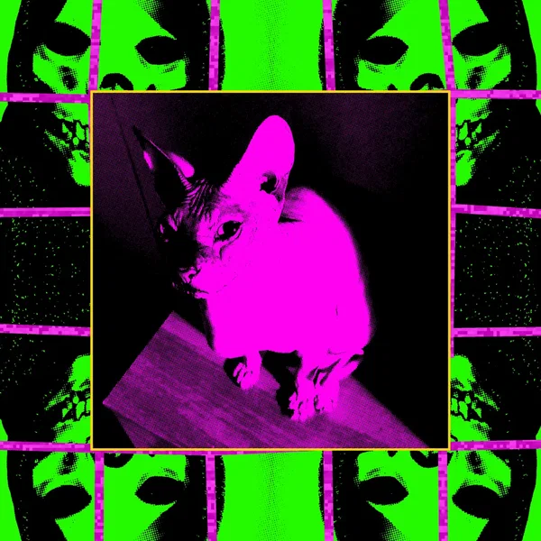 The Screamer