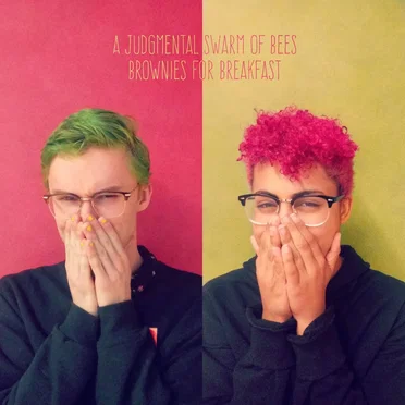 Brownies For Breakfast by A Judgmental Swarm Of Bees - album cover