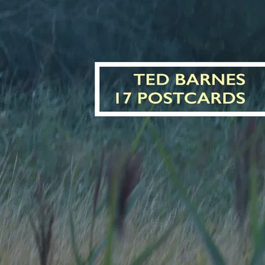 17 Postcards