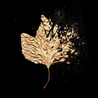 Autumn by Swoon - album cover