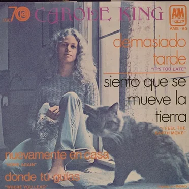 Demasiado Tarde = It's Too Late