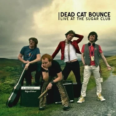 Dead Cat Bounce