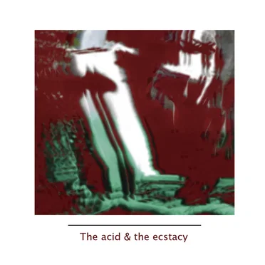 The Acid & The Ecstasy