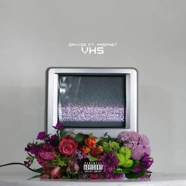 VHS by DAYVID - album cover