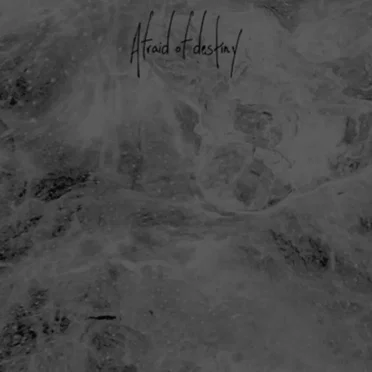 Demo 2013 by Afraid of Destiny - album cover