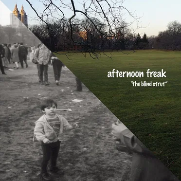The Blind Strut by Afternoon Freak - album cover