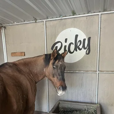 Ricky by Wolves of Glendale - album cover