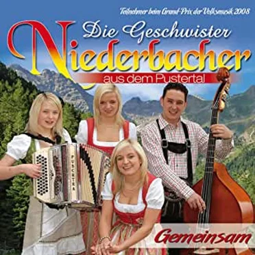 Gemeinsam by Geschwister Niederbacher - album cover