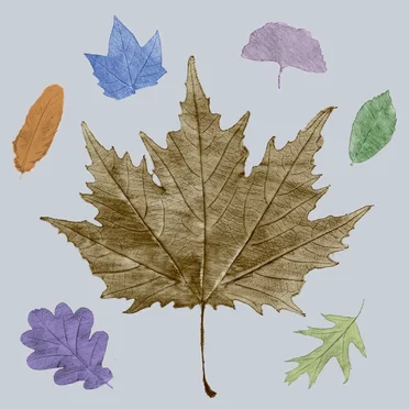 Fallen leaves by Lit Silver - album cover