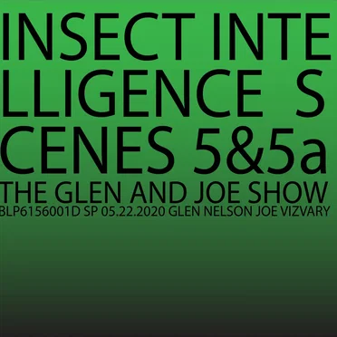 The Glen and Joe Show