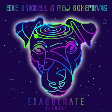 Exaggerate (remix)