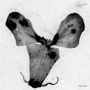 Dyscamupia