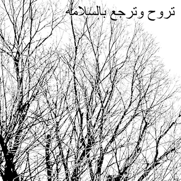 تروح وترجع بالسلامه by Vanishing Earth - album cover