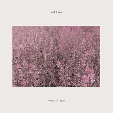 Cycle 1.5 | May by Erik Luebs - album cover