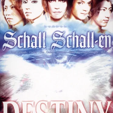 DESTINY by Schall Schall-en - album cover