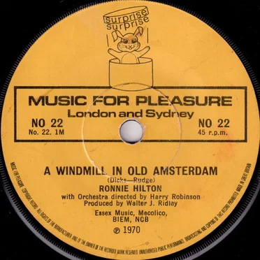 A Windmill in Old Amsterdam
