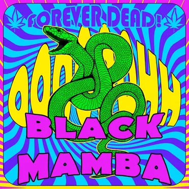 Black Mamba (radio edit)