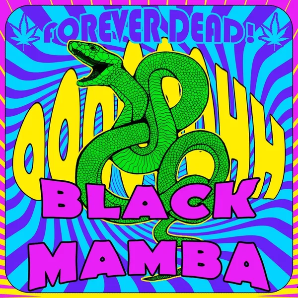 Black Mamba (radio edit)