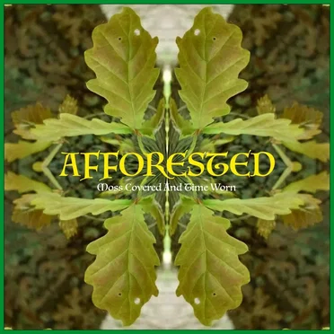Moss Covered and Time Worn by Afforested - album cover