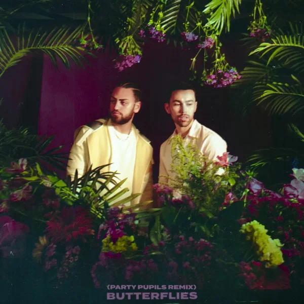 Butterflies (Party Pupils remix)