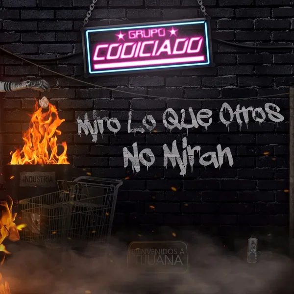 Miro lo que otros no miran