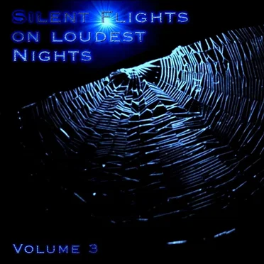 Silent Flights on Loudest Nights Vol. 3 by Various Artists - album cover