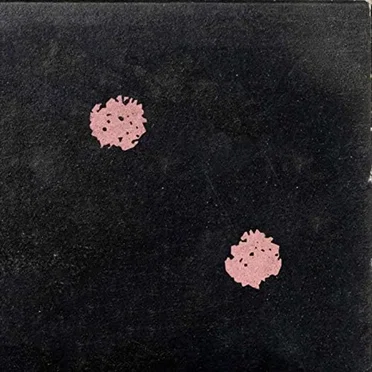 Squalls, Vol. 2 by The Indiana Drones - album cover