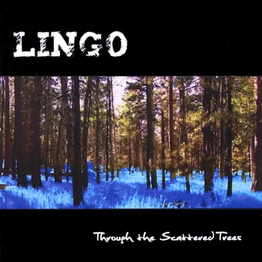 Through the Scattered Trees by Lingo - album cover