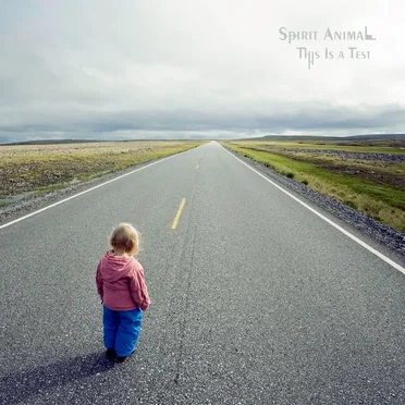 This Is a Test by Spirit Animal - album cover
