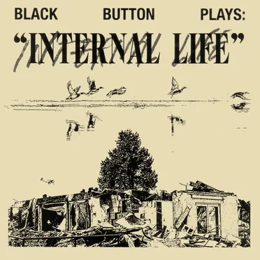 Internal Life by Black Button - album cover