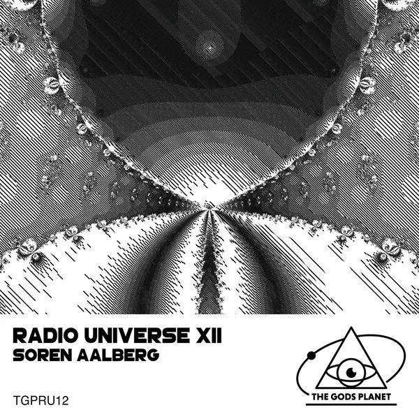 Radio Universe XII
