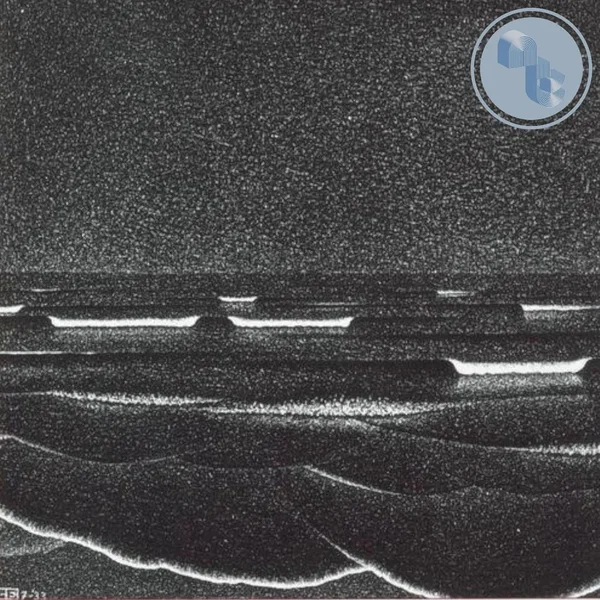 Quiescence