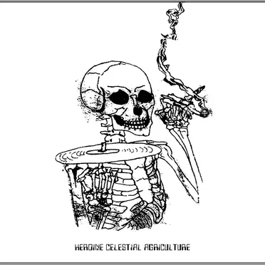 Yankee Doodle Macrocosm